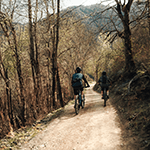 Bicicletes