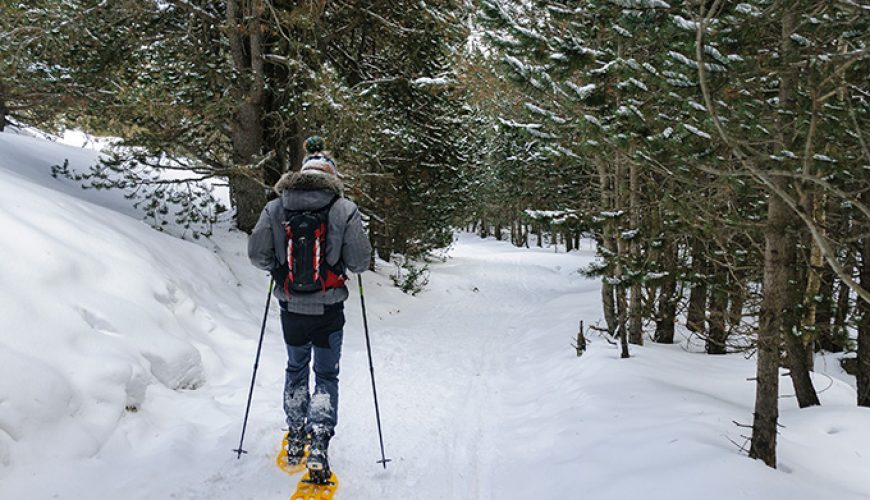 Lloguer de raquetes de neu