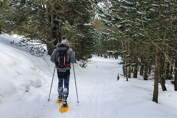 Lloguer de raquetes de neu, Aran Hostel